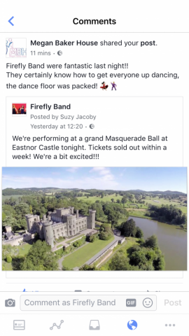 Firefly Band grand Masquerade Ball at Eastnor Castle testimonial